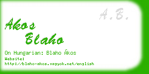 akos blaho business card