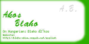 akos blaho business card